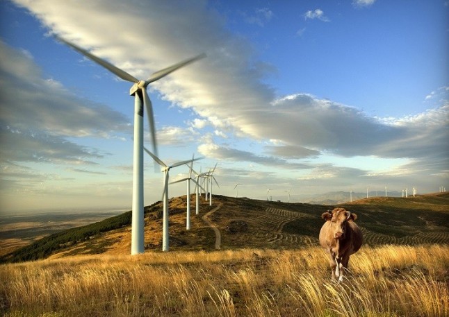 La energía eólica en Andalucía supone ya el 2