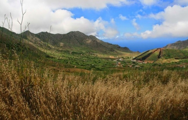 Erradican el árbol del cielo en el Parque Rural de Teno