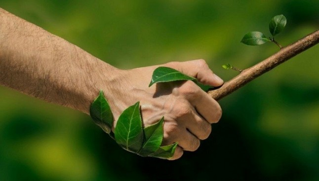 La nueva legislación sobre contratación pública con el medio ambiente