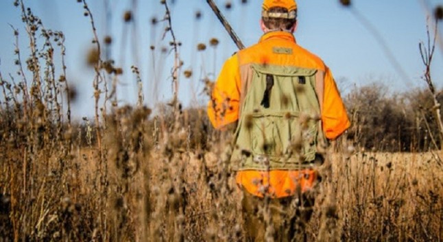 El Gobierno de Sánchez se pone de perfil en el tema de la caza