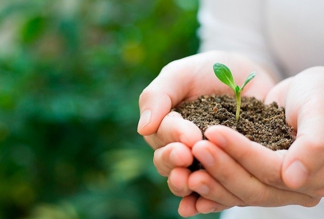 Reflexiones en materia ambiental al final de esta legislatura