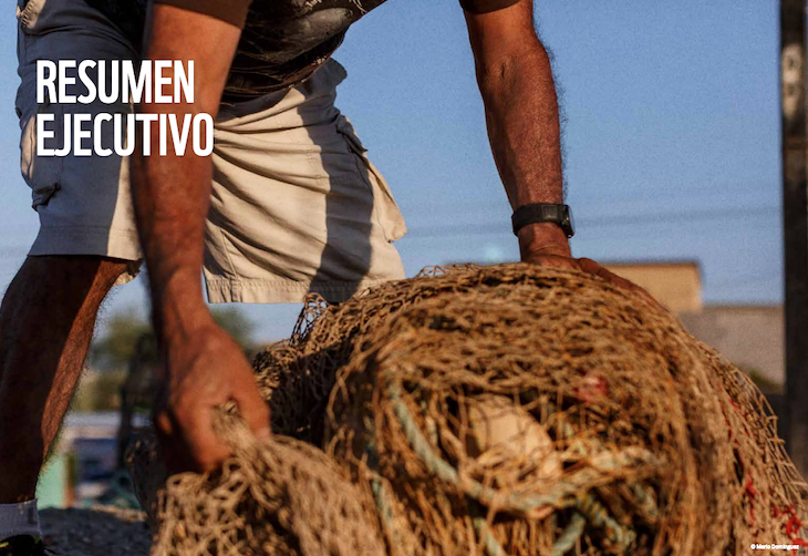 No más redes fantasma por una naturaleza sin plásticos