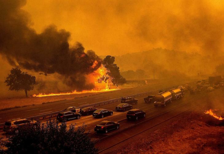 Dos millones de hectáreas. Canadá y California