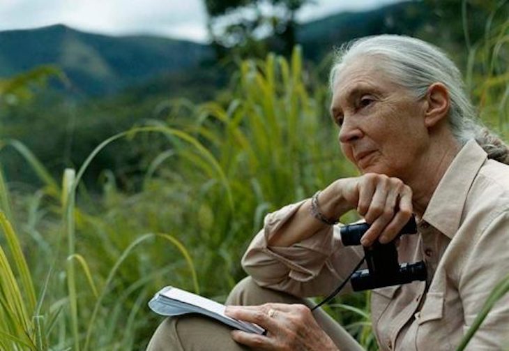 Gala del premio Artemio Precioso a la Dra. Jane Goodall