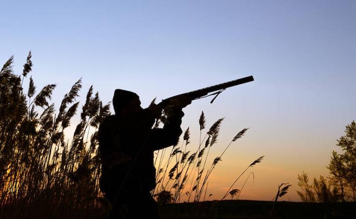 A VOX no le gusta la prohibición de la caza en Parques Nacionales