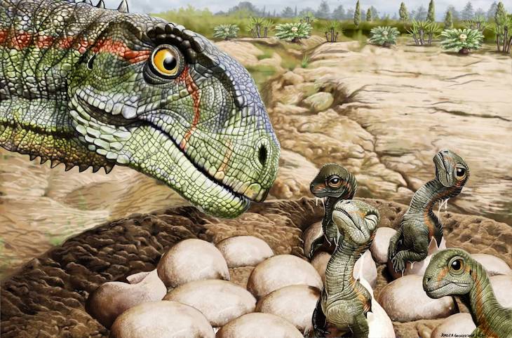 El enigma sin resolver de los huevos de dinosaurios