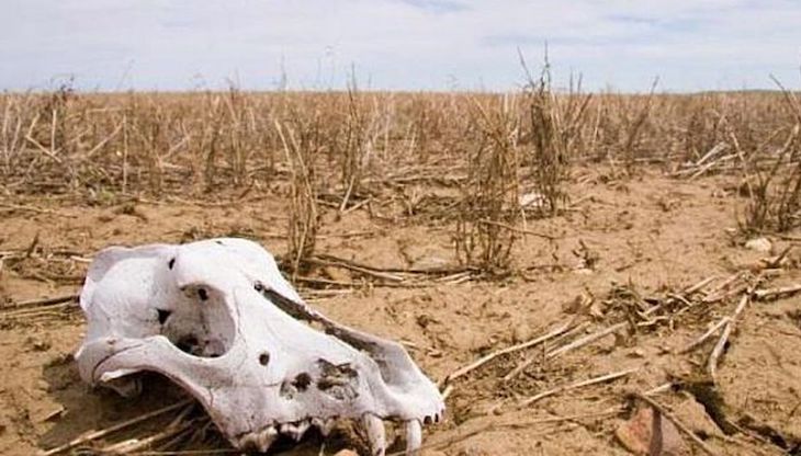 La mayor extinción de la Tierra comenzó mucho después en el océano