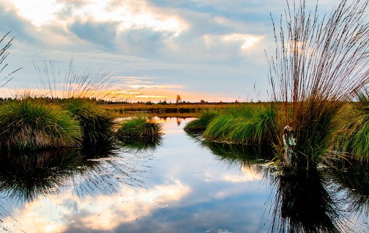 Navarra promociona sus innumerables zonas húmedas protegidas