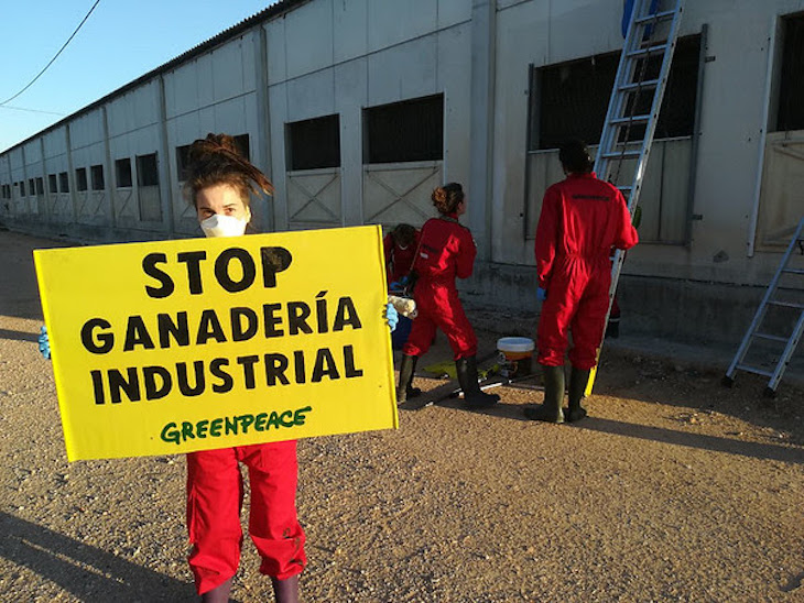 La moratoria parcial a la ganadería industrial en Cataluña