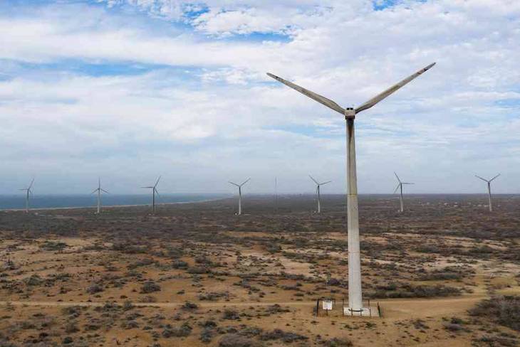 Euskadi. Qué pasa con los parques eólicos y la fauna