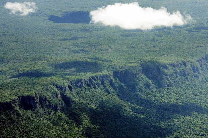 Las selvas africanas minimizan el calentamiento global