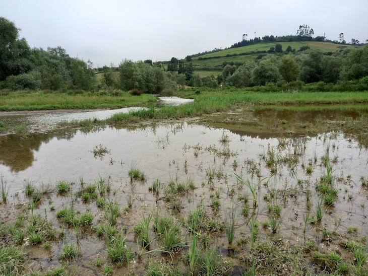 Asturias. Hay que restaurar la cola espacio natural del embalse de San Andres que Arcelor daño gravemente