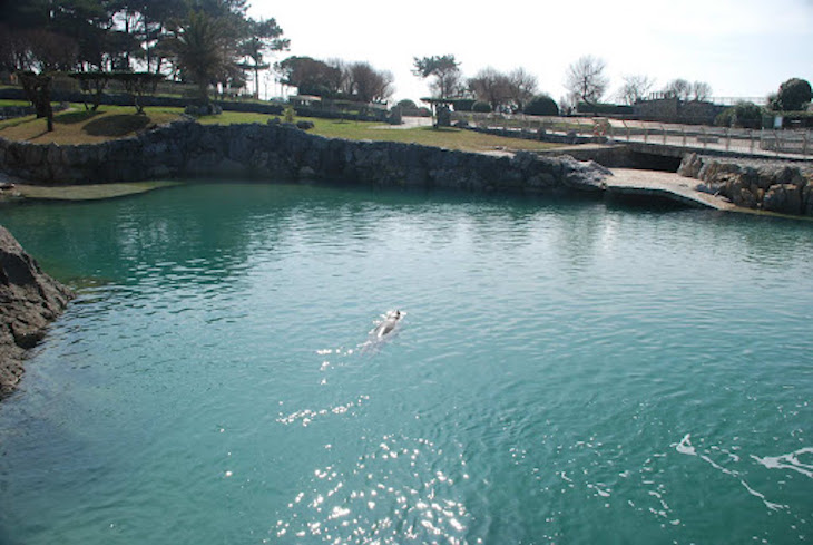 Cantabria ‘tira a la basura’ inversiones en el minizoo de la Magdalena