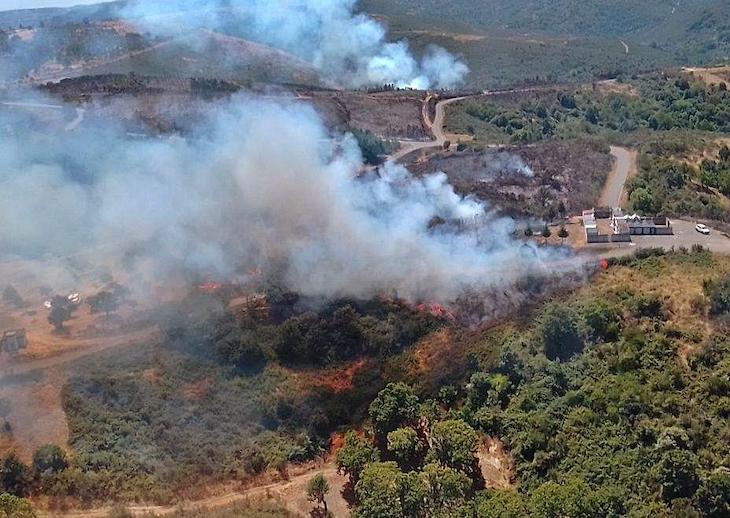 España no se comporta como debiera en la extinción de incendios y a los evacuados