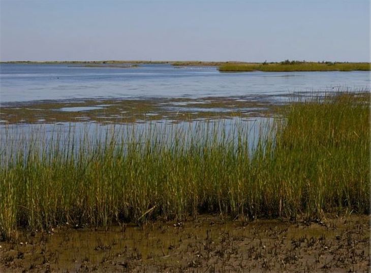 La actividad agrícola y ganadera filtra nitratos en los acuiferos