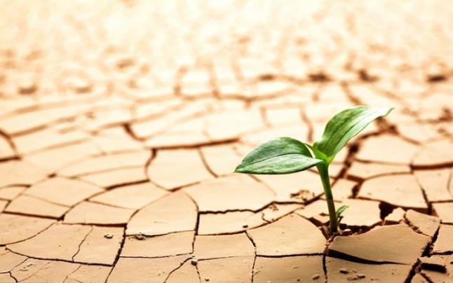 Los minusvalorados efectos del cambio climático en el Mediterráneo