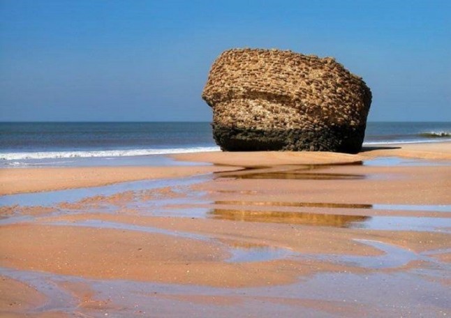 Recuperando la playa de Matalascañas
