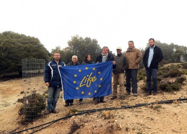 Medio Ambiente da a conocer el proyecto de regeneración natural LifeBiodehesa desarrollado en Mata Bejid