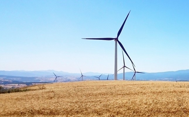 Forestalia afianza la mayor planta de producción de pellets de España