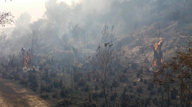 Continúan las tareas de extinción del incendio de Son Ordines