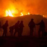 Qué son los Incendios forestales