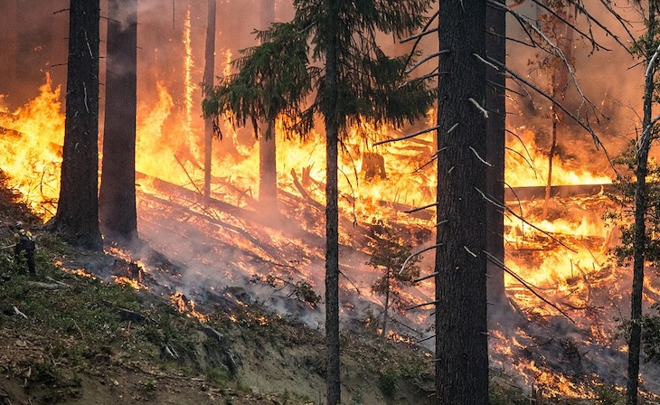La Junta prorroga hasta final de abril las autorizaciones de empleo de fuego en terrenos forestales de Córdoba