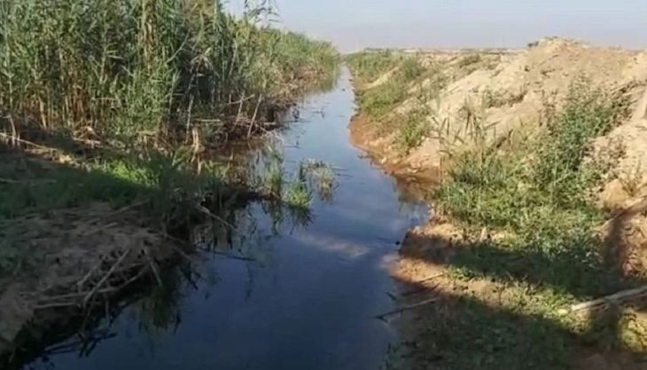 Propuestas para solucionar la contaminación del Mar Menor