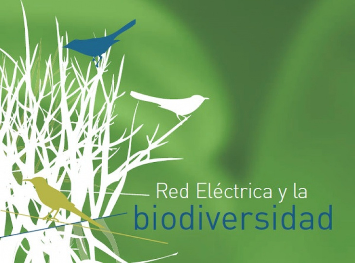 Red Eléctrica con la biodiversidad