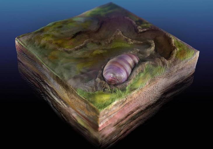 Y si la mayoría de los animales actuales