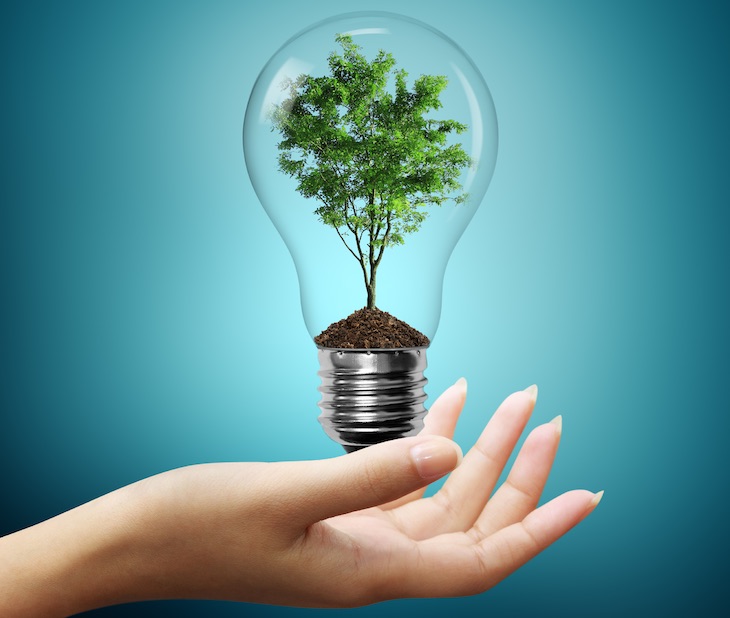 Cuatro décadas de Ecologismo Social en La Rioja