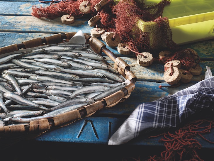 Tormenta sobre el sello pesquero MSC al que acusan de fraude