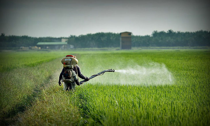 STOP al peligroso pesticida ‘mancozeb’ en Europa