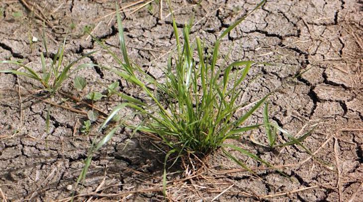 Un gris y torpe Pedro Sánchez desperdicia la oportunidad que le brindaba la reunión de los ‘Líderes por el Clima’