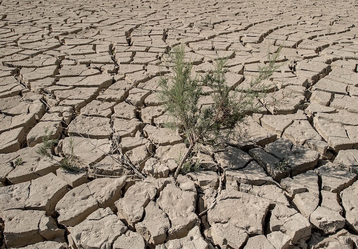Proyecto TINC UNA PALLA A L’ULL impulsado en Valencia por Juventud por el Clima España