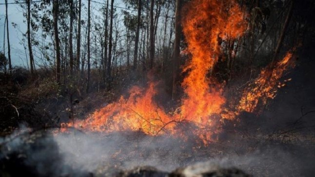 Incendios y calidad del aire en Cantabria