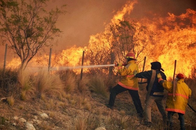 Bomberos Madrid realiza 470 intervenciones en incendios forestales en la primera mitad de 2018