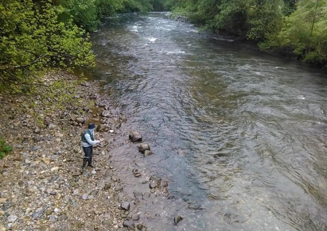 Ya se pueden cazar y pescar especies exóticas invasoras