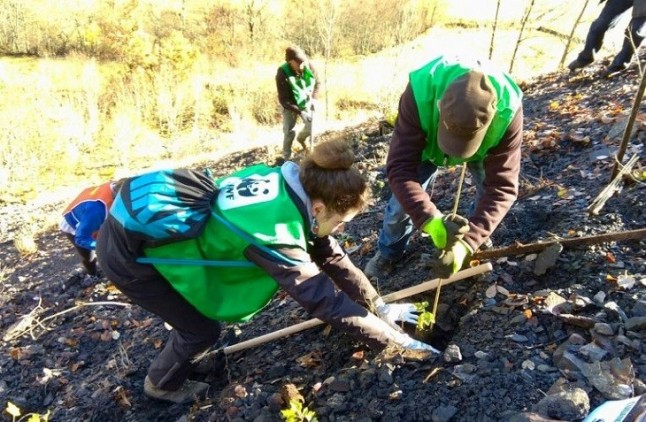Voluntarios de WWF plantan 2.000 árboles en 14 puntos de España en defensa de los bosques