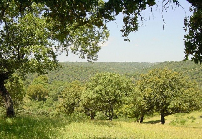 II Plan de Desarrollo Sostenible del Parque Natural de la Sierra de Cardeña y Montoro
