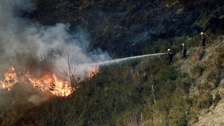 Los bomberos intervinieron en 1.436 incendios de vegetación en 2019