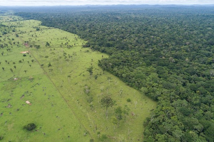 La desforestación provocó los incendios masivos en la selva amazónica durante 2019