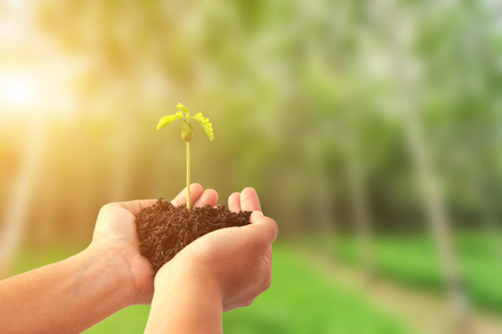 La Transición Ecológica debe estar ‘liderada’ por organismos democráticos