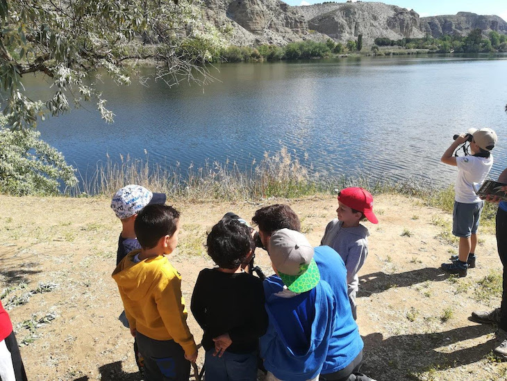 Reclaman una mayor naturalización de los centros escolares