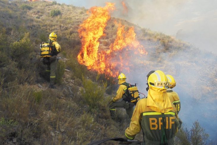El primer trimestre de 2021 ha sido ‘fatal’ en cuanto a incendios forestales