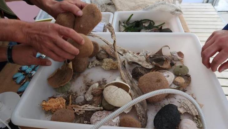 Más ayudas para la educación ambiental entre las entidades sin ánimo de lucro