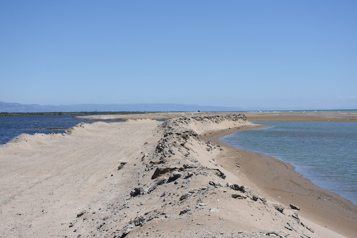 Medio ambiente. La supervivencia del Delta del Ebre