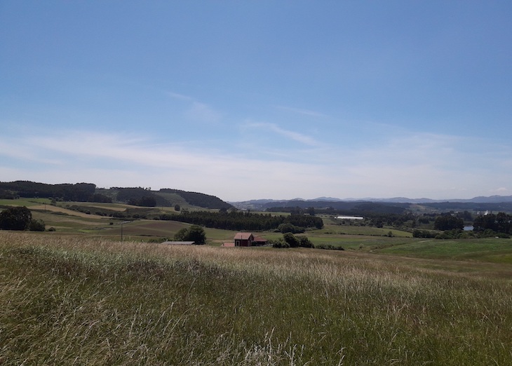 El Principado de Asturias no puede ser cómplice de Red Eléctrica en el anillo central