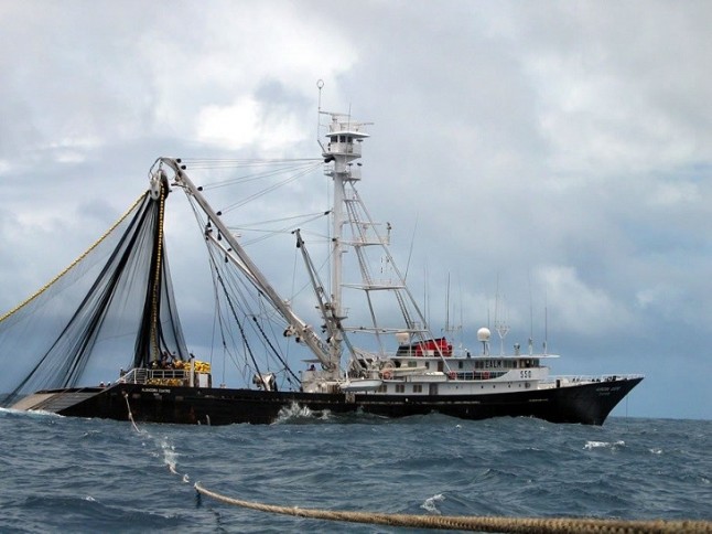 La flota atunera ha reducido hasta el 0