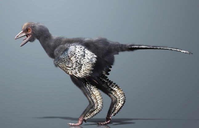 Un pequeño dinosaurio chino ofrece pistas sobre el origen del vuelo