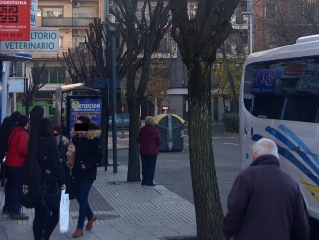 Arboricidio en Puertollano